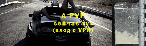твердый Бородино
