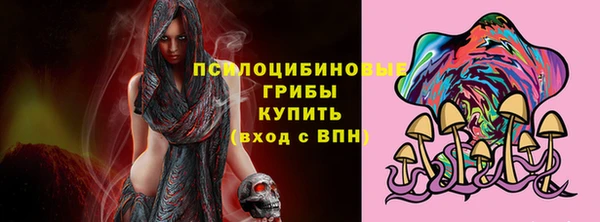 шишки Богородск