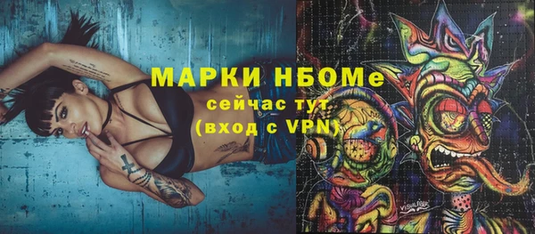 крисы Богородицк