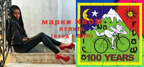 твердый Бородино
