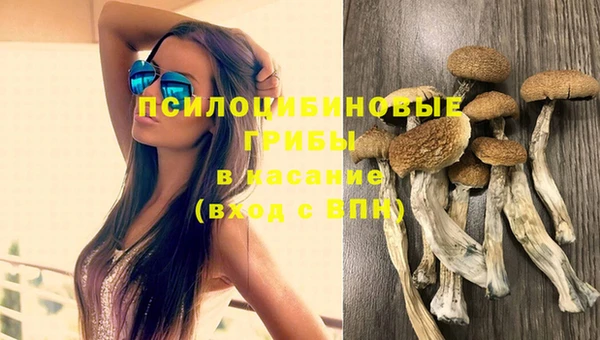 амф Бугульма