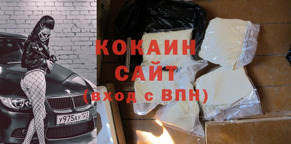 шишки Богородск