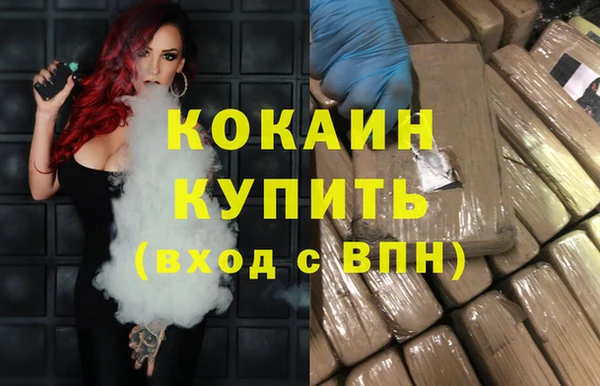 шишки Богородск