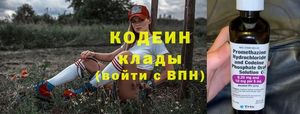 твердый Бородино