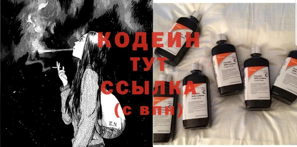 шишки Богородск